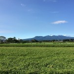 秋の伐採バスツアー　決定
