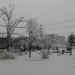 雪の月曜日