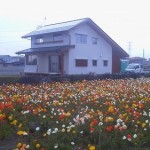 来週は群馬県太田市にて完成見学会です。