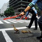 社長、こちらで報告します。