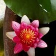群馬県富岡市で薪ストーブや自然素材を使った木の家のデザインされた注文住宅を建てるなら小林建設
