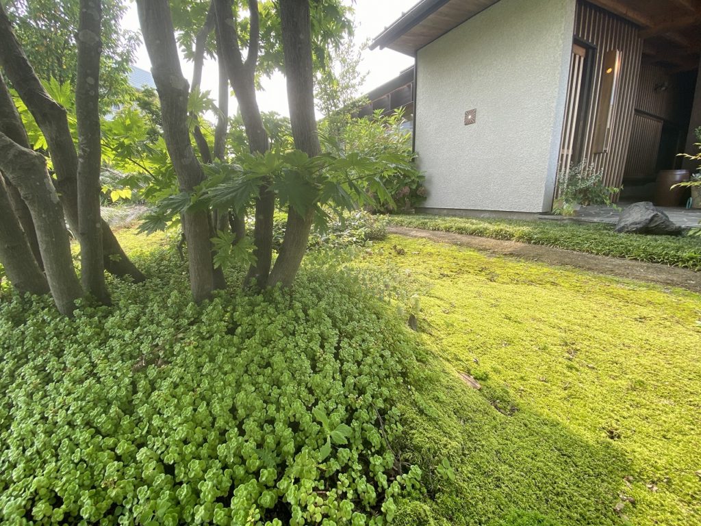 埼玉県東松山市で薪ストーブや自然素材を使った木の家のおしゃれな新築注文住宅を建てるなら小林建設 