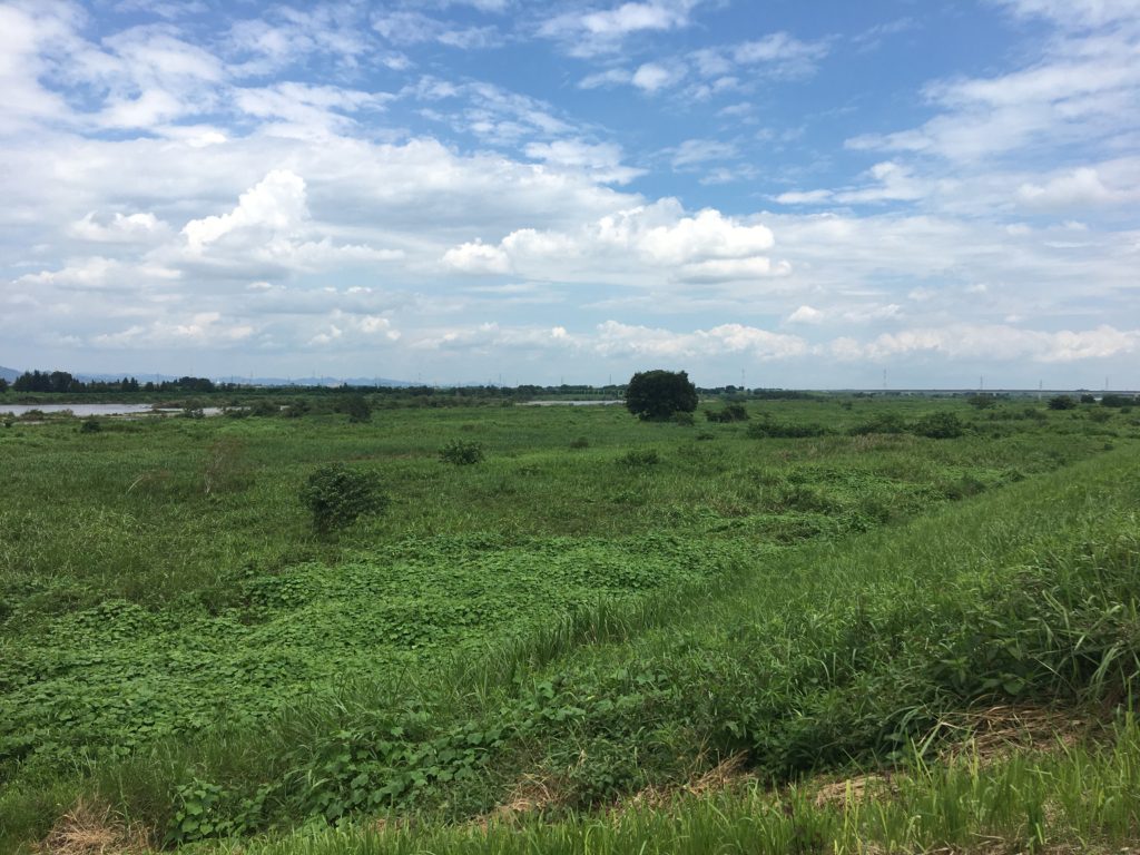 埼玉県大里郡寄居町で薪ｽﾄｰﾌﾞや自然素材を使った木の家のデザインされた注文住宅を建てるなら小林建設