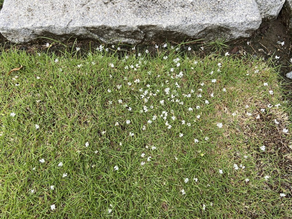 埼玉県東松山市で薪ストーブや自然素材を使った木の家のおしゃれな新築注文住宅を建てるなら小林建設