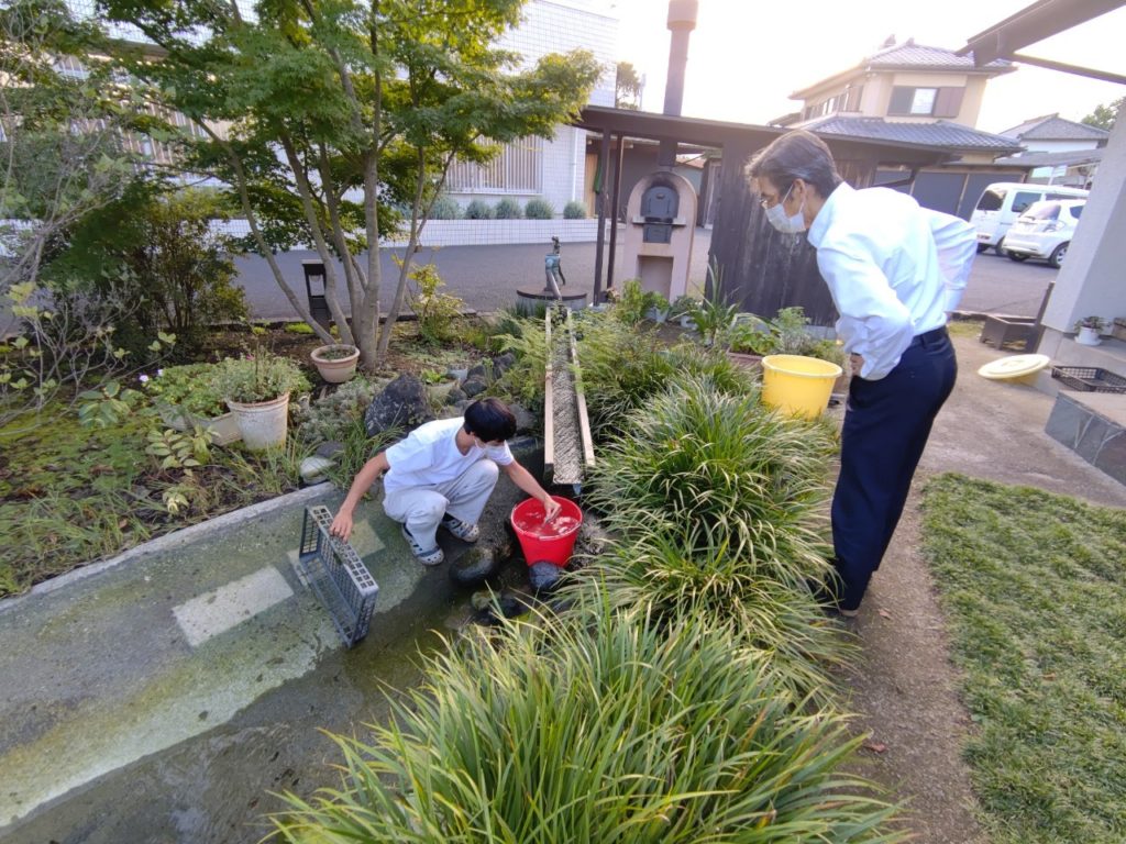 池の水抜きました4