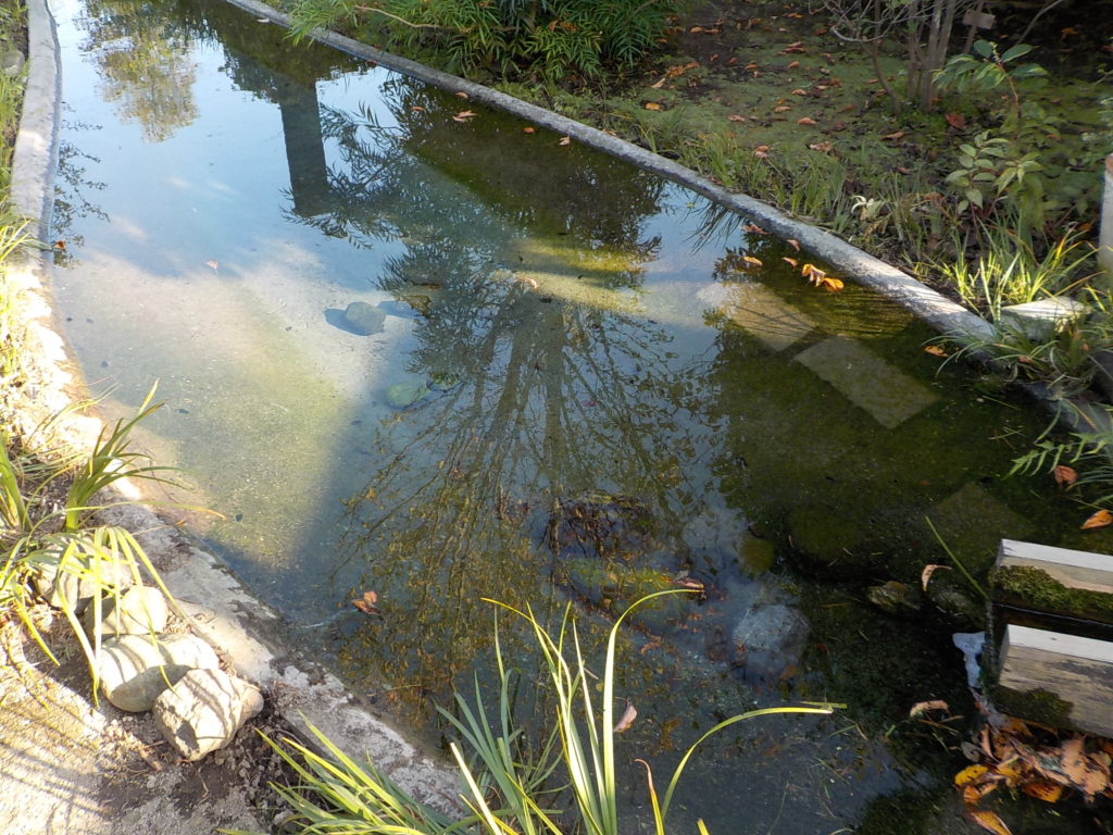 群馬県安中市で薪ストーブや自然素材を使った木の家のデザインされた注文住宅を建てるなら小林建設