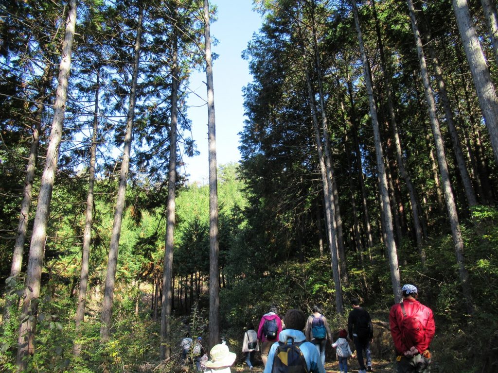 埼玉県東松山市で薪ストーブや自然素材を使った木の家のおしゃれな新築注文住宅を建てるなら小林建設