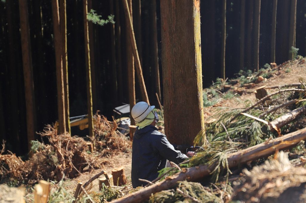 埼玉県東松山市で薪ストーブや自然素材を使った木の家のおしゃれな新築注文住宅を建てるなら小林建設