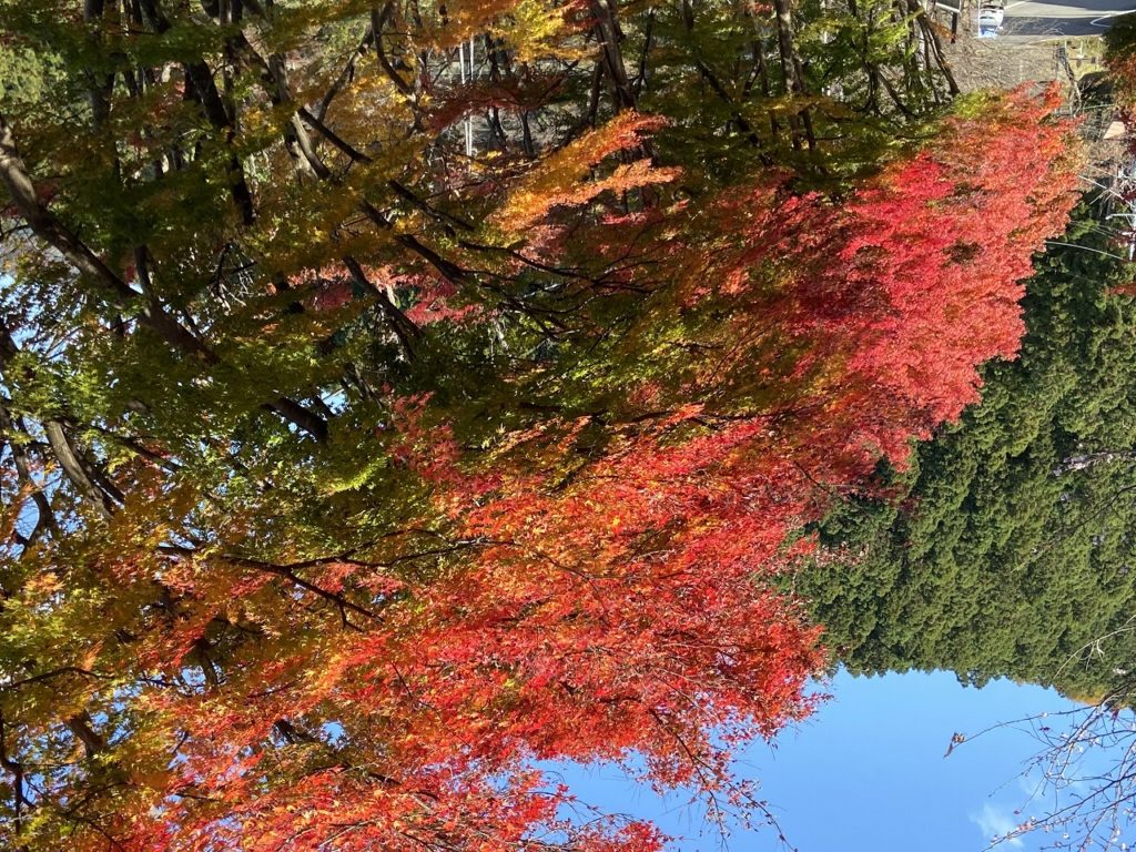 埼玉県東松山市で薪ストーブや自然素材を使った木の家のおしゃれな新築注文住宅を建てるなら小林建設 