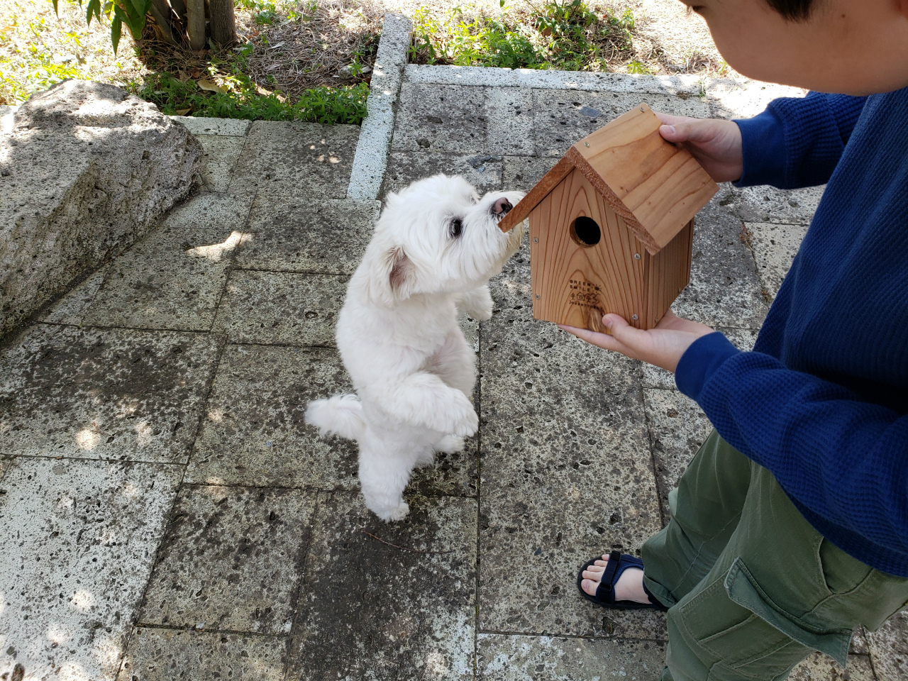 群馬県伊勢崎市で薪ストーブや自然素材を使った木の家のおしゃれな新築注文住宅を建てるなら小林建設