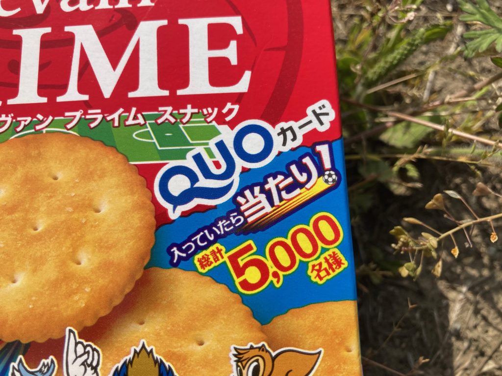 群馬県桐生市で薪ストーブや自然素材を使った木の家のおしゃれな新築注文住宅を建てるなら小林建設