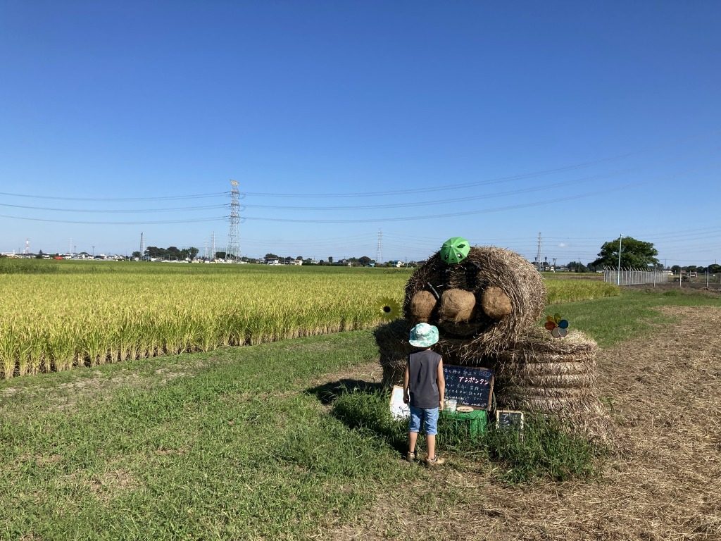 群馬県桐生市で薪ストーブや自然素材を使った木の家のおしゃれな新築注文住宅を建てるなら小林建設