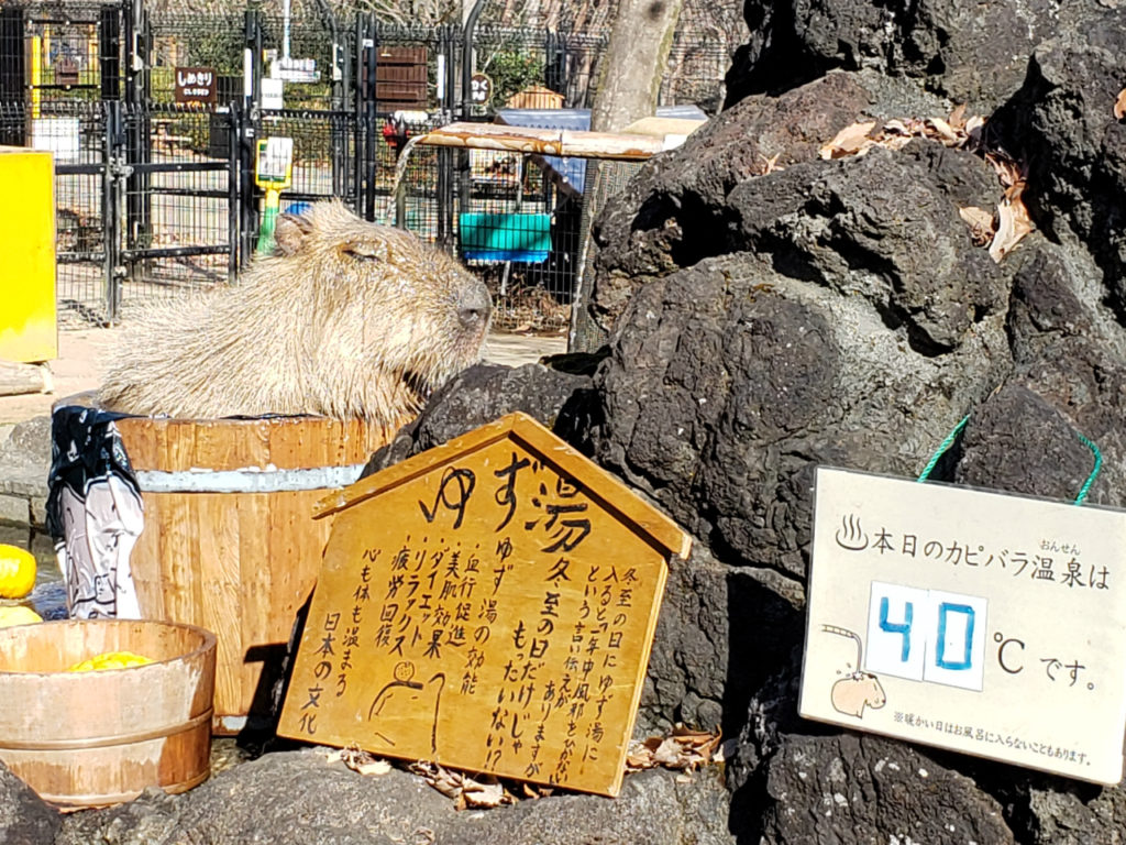 群馬県伊勢崎市で薪ストーブや自然素材を使った木の家のおしゃれな新築注文住宅を建てるなら小林建設