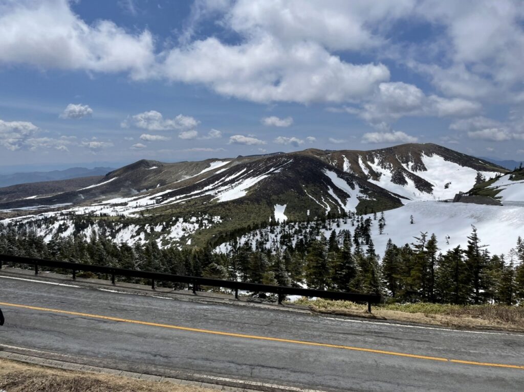 新緑　山　雪