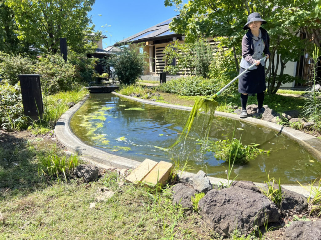 コバケンLaBOの池のお掃除