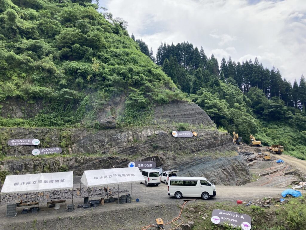 化石の発掘現場