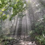 安達太良山と雲海