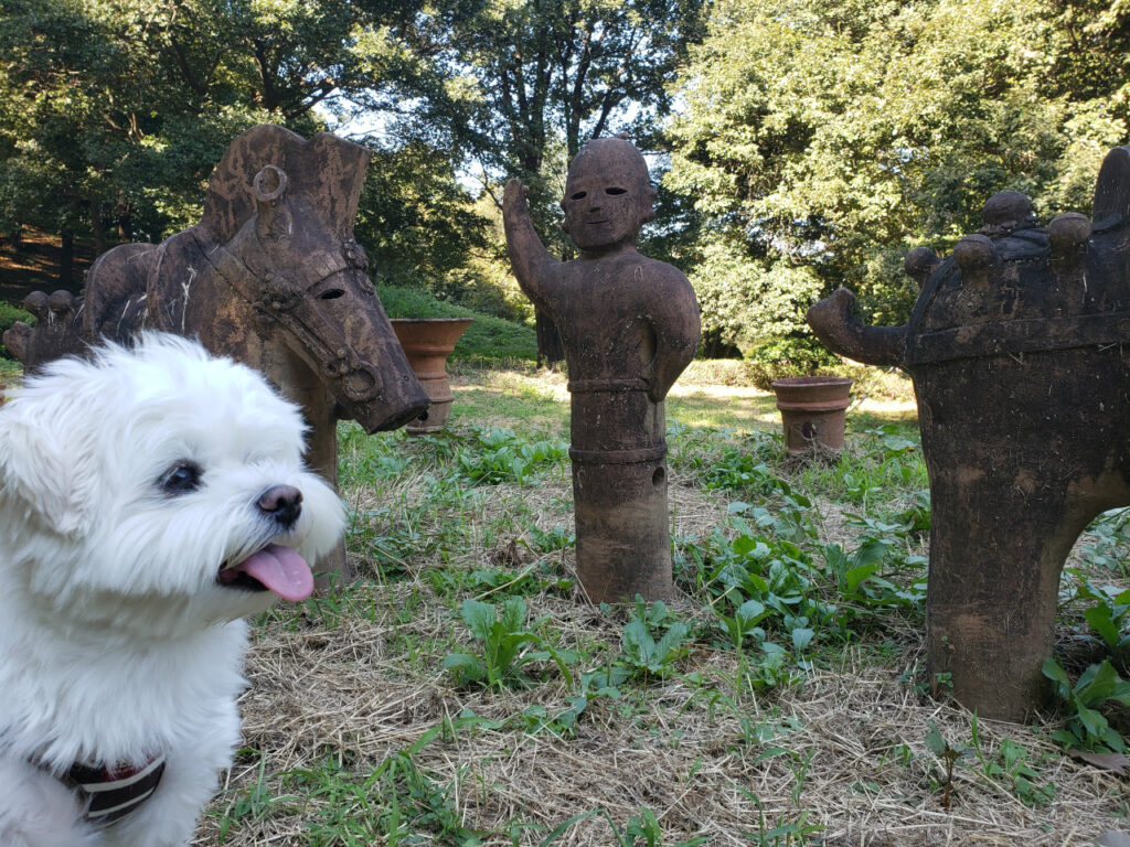 大室公園　埴輪