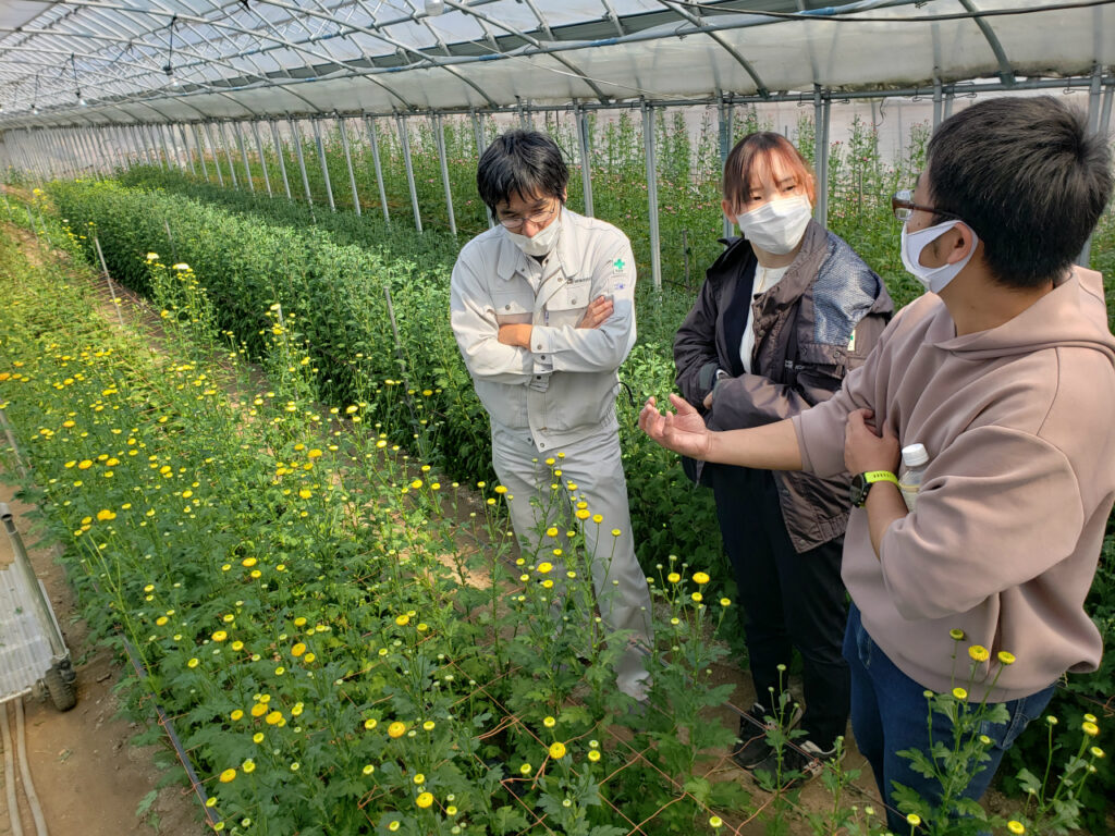 菊の話を聞く様子