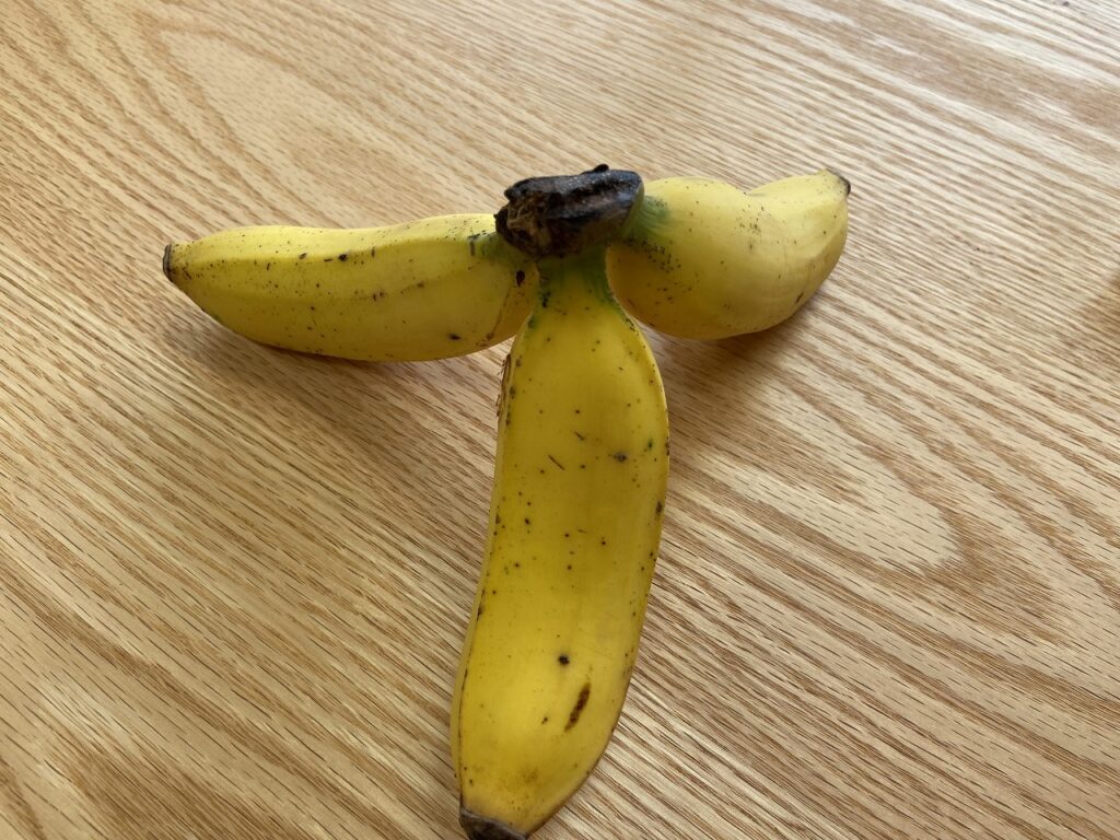 宮古島のバナナ