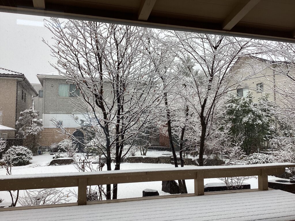 2月初雪　被害