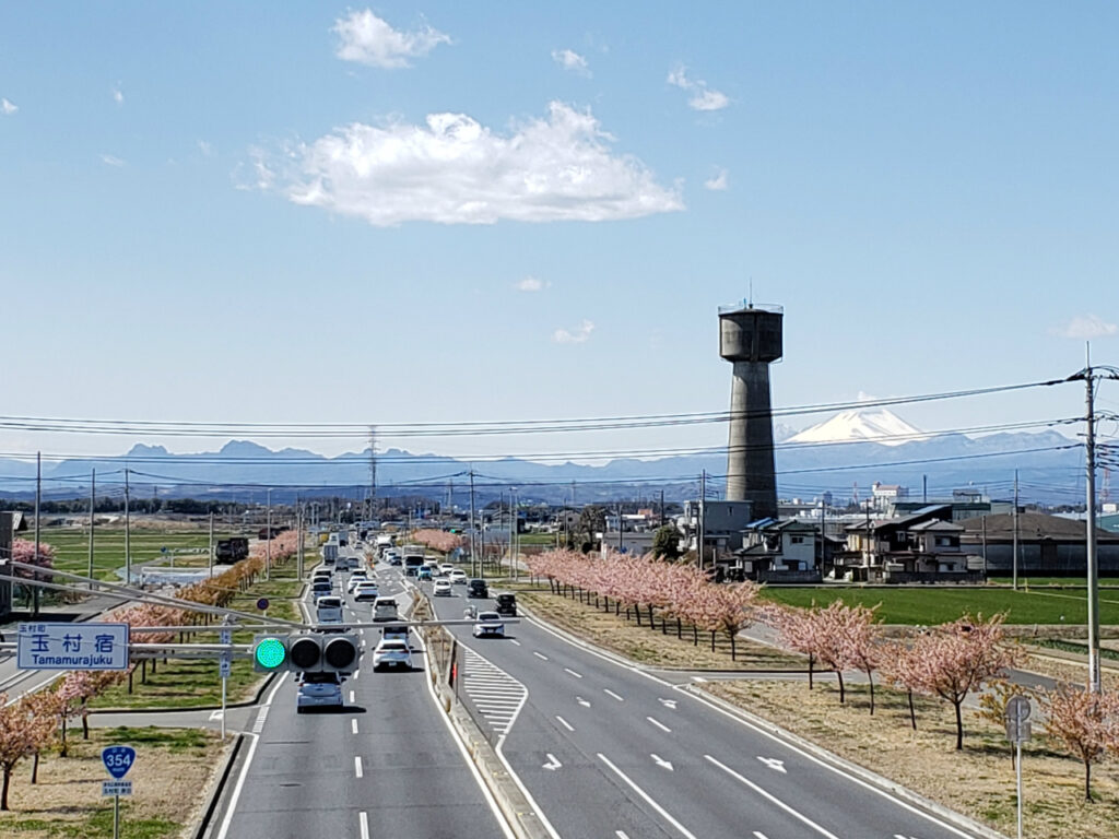 桜並木