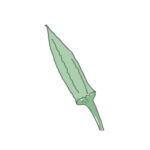 野菜