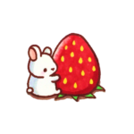 コバケン産いちご