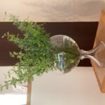 植木の散髪