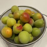 梅しごと