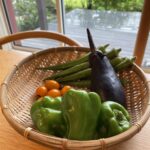 栖の杜　キッチンガーデンⅡ