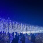 壁の模様替え