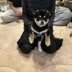 破風板板金巻き