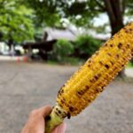 夏の旬の食べ物