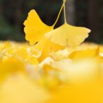 作業場の大掃除です