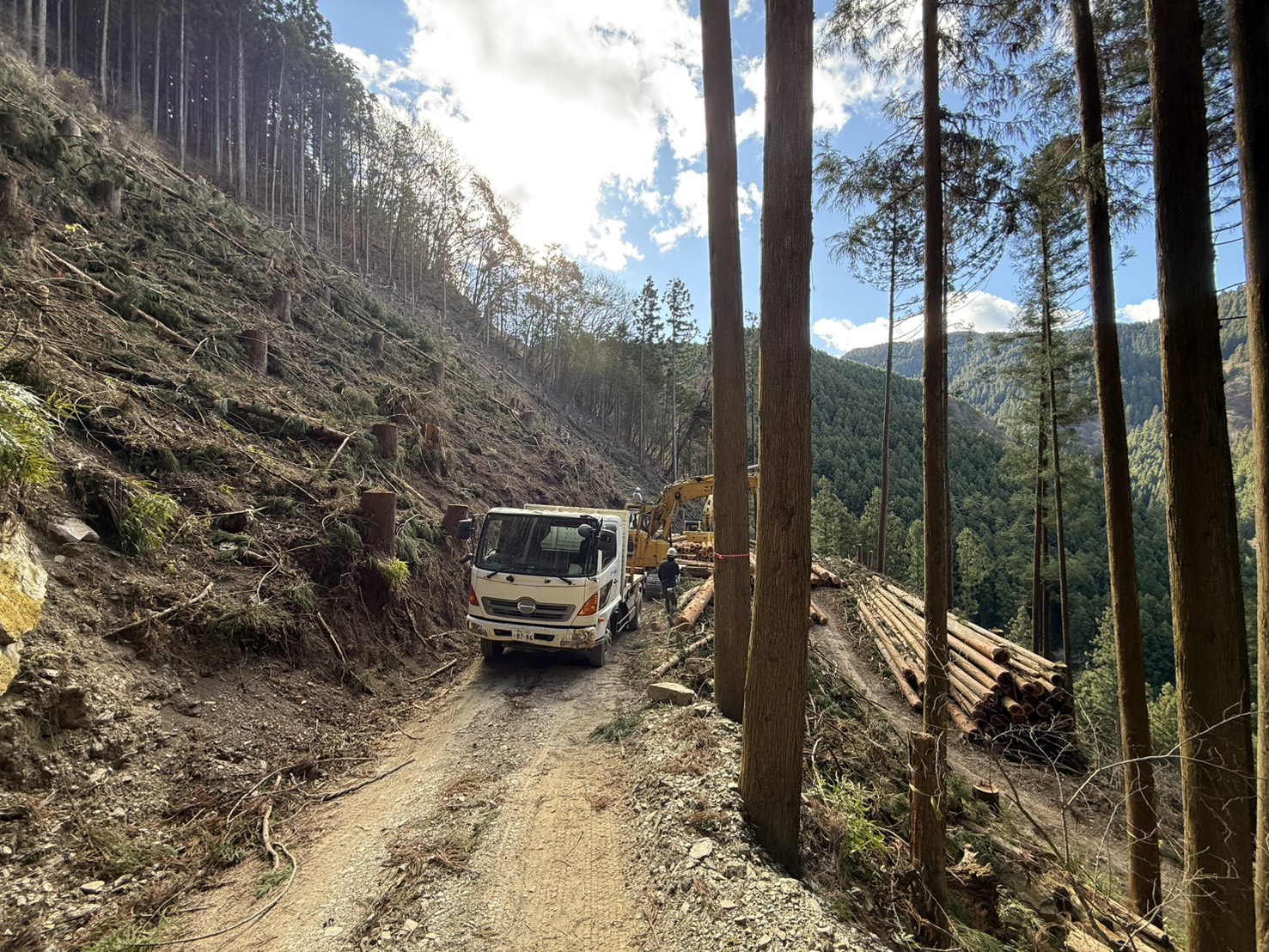 林道を通るトラック