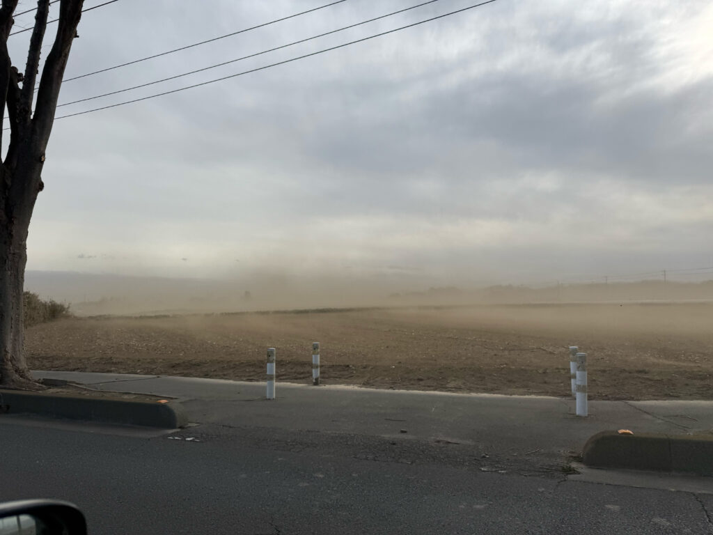 濃いサンドアウト