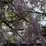 大型連休まであと2日