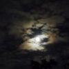 月