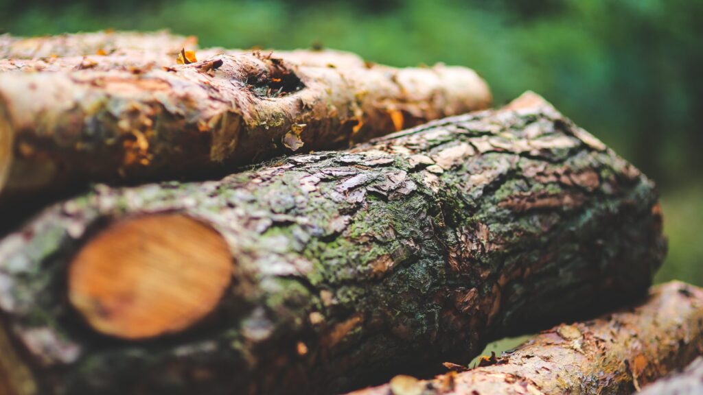 「天然木の家」は本当に良い？自然素材の家のメリット・デメリットとメンテナンスの不安解消法のアイキャッチ