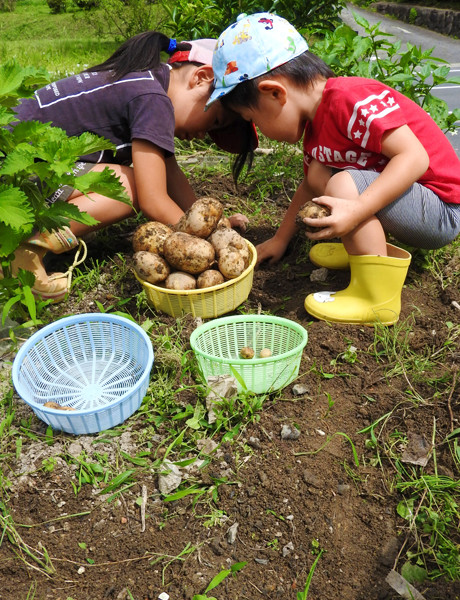 高崎・前橋・本庄で庭のある暮らし、暮らしを楽しむ家の食べる庭