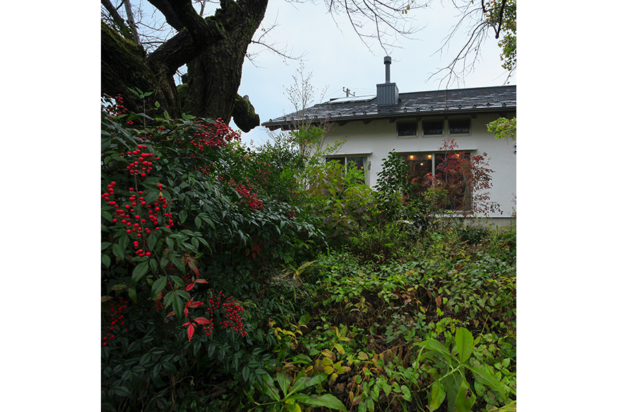 季節の移り変わりがリビングから楽しめる自然に寄り添う住宅なら埼玉県本庄市の小林建設