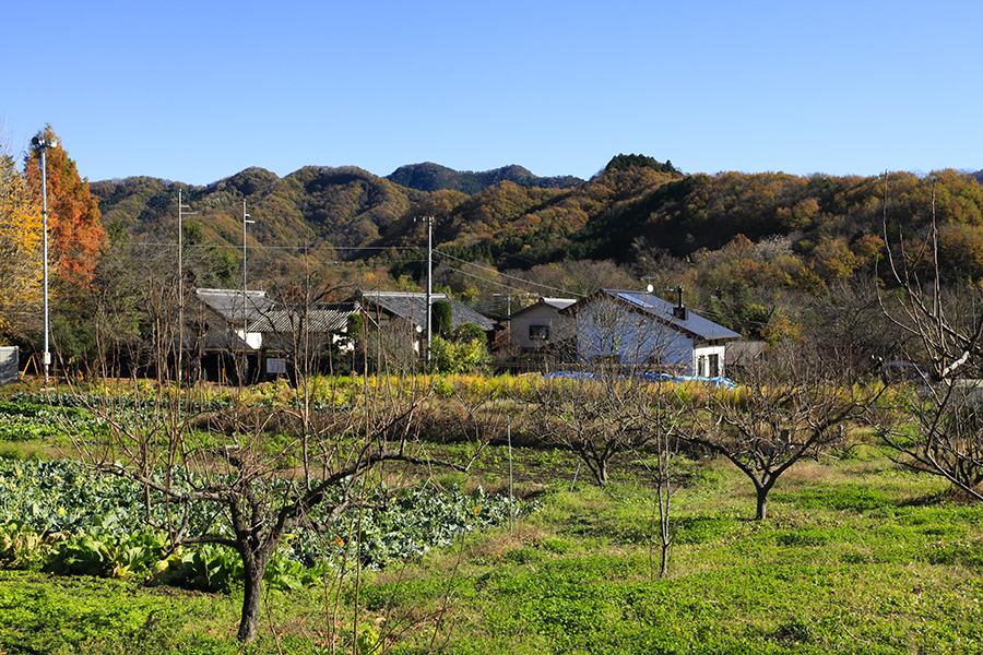 大屋根と薪ストーブの煙突がアクセントの木の家なら埼玉県本庄市の小林建設