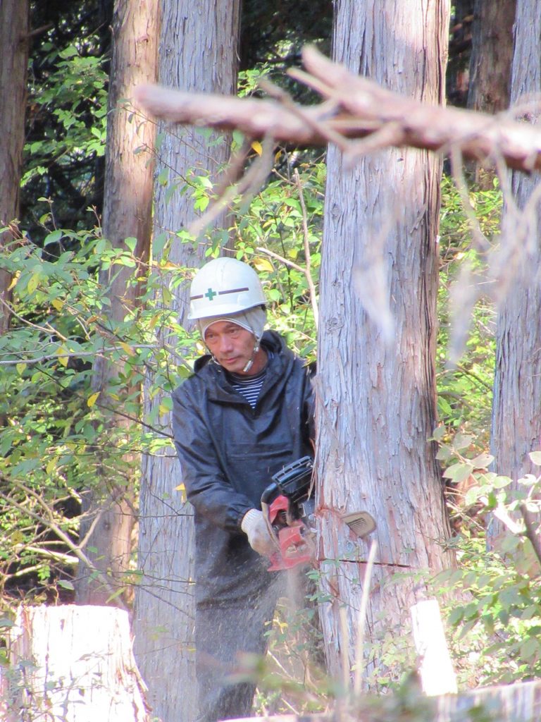 群馬県で自然素材を使った平屋の注文住宅を建てるなら小林建設
