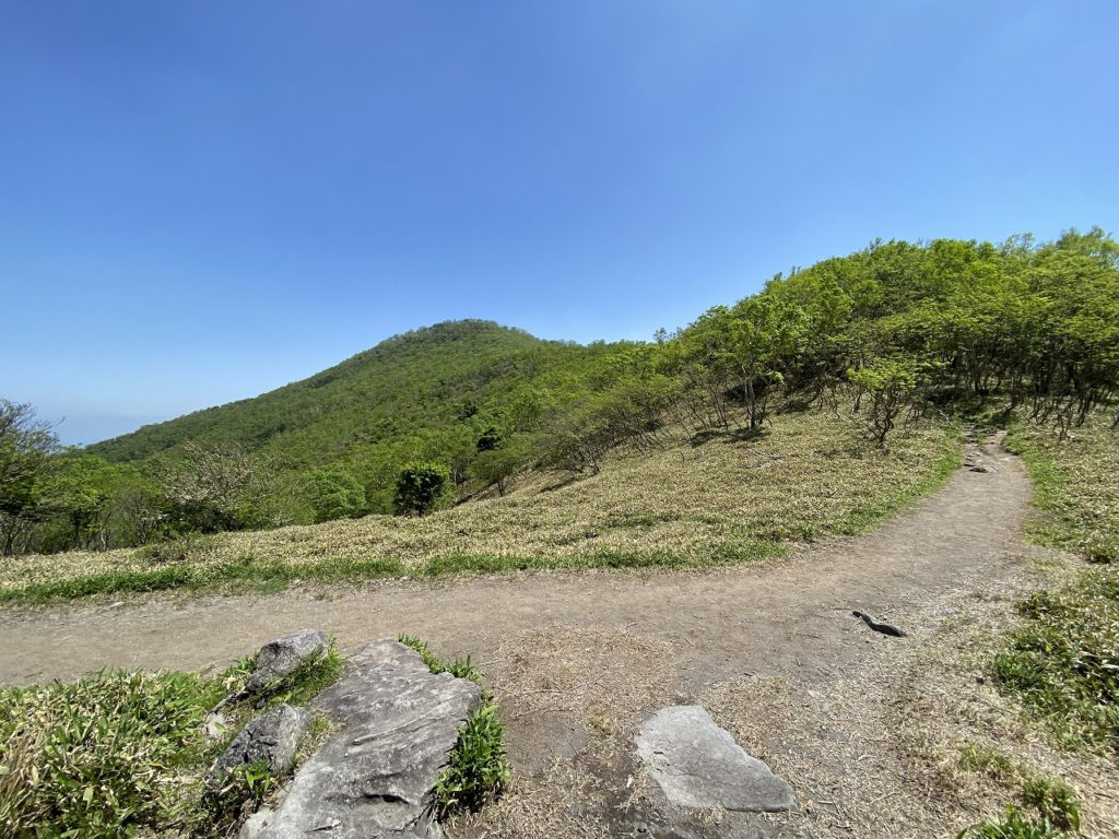 埼玉県熊谷市で自然素材を使った平屋のおしゃれな新築注文住宅を建てるなら小林建設