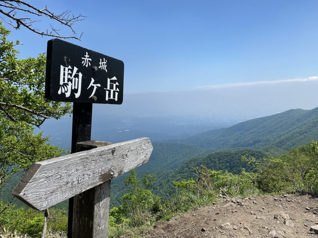 埼玉県熊谷市で自然素材を使った平屋のおしゃれな新築注文住宅を建てるなら小林建設