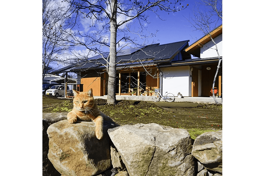 埼玉県でおしゃれな平屋を建てる