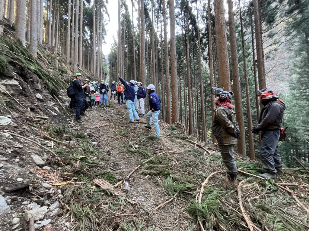 陽の栖小林建設とウッディコイケが開催した秋の山伐採ツアーの山の中の写真