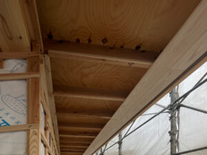 軒裏の杉板張り工事を進めています